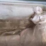 মায়ের মৃতদেহ ১০ বছর ধরে ফ্রিজে রেখে দিয়েছিলেন জাপানি নারী